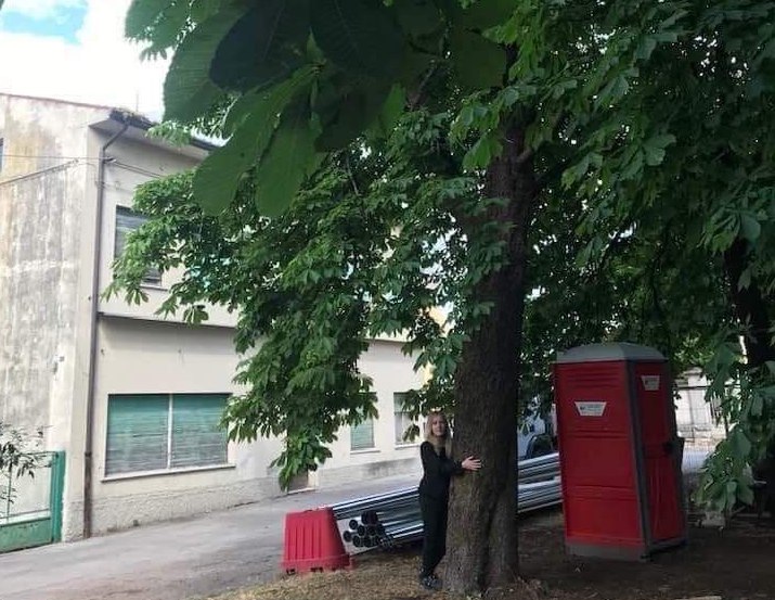 Immagine per Alberi tagliati per il nuovo parcheggio in via del Carso, raccolta firme